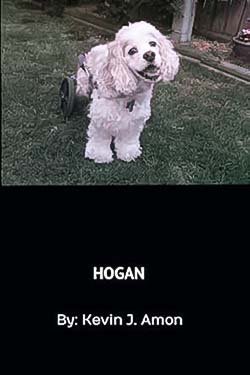 Hogan
