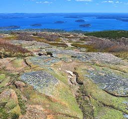 View from Mount Cadillac